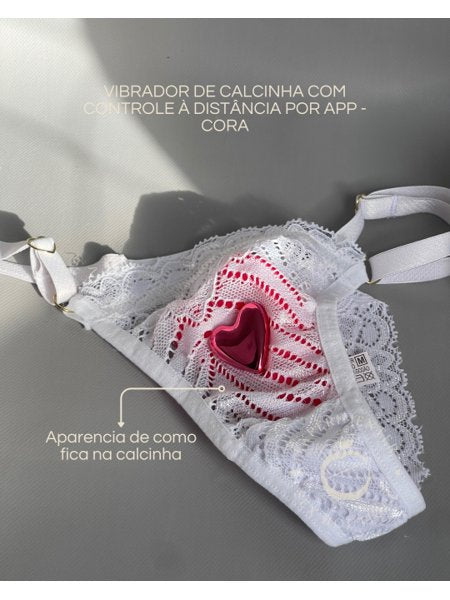 Vibrador de calcinha com imã